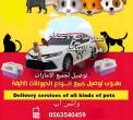 مندوب توصيل حيوانات اليفة الامارات - ابو ظبي-قطط