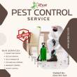 Effective Pest Control Services in San Antonio - iPest Solut