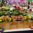 Flower Shop lease