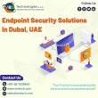 Why Exactly Endpoint Security Services Dubai Are Important?