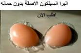 الجيزة-أخرى
