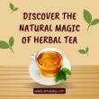 Discover The Natural Magic Of Herbal Tea - Sharjah-Drinks