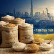 We  selling and exporting white rice & basmati rice - Dubai-Other