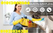 steam cleaner مساعدك فى التنظيف بالبخار - القاهرة-أخرى