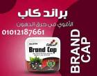 الاسكندرية-أخرى