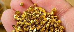 Gold Nuggets For Sale  + 256776717197 gold bars,gold dust, n