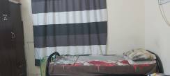 Executive Bachelor Bed Space @ Rolla - Sharjah-Accommodation for rent