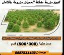 للبيع مزرعه منطقة العجبان مزروعه بالكامل مساحات خضراء مع بيت - ابو ظبي-مزارع للبيع