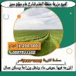 للبيع مزرعه منطقة الختم شارع عام موقع مميز مساحة المزرعه( 30 - ابو ظبي-مزارع للبيع