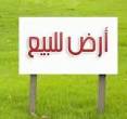 للبيع أرض سكنية / تجارية في الشارقة تقع في منطقة مويلح تجاري - الشارقة-أراضي للبيع