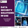 Dubai-Computer services