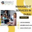 Dubai-Computer services