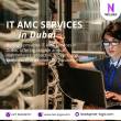 Dubai-Computer services