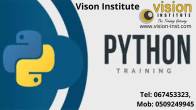 Python Programming Classes at Vision Institute. 0509249945 - Sharjah-Educational and training