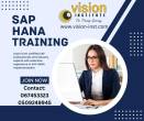 SAP HANA Classes at Vision Institute. Call 0509249945