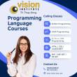 Programming Courses at Vision Institute. Call 0509249945 - Ajman-Educational and training