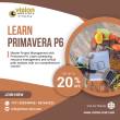 Primavera Training at Vision Institute. Call 0509249945 - Umm al-Quwain-Educational and training