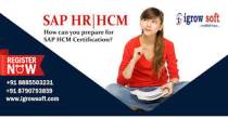 Best SAP HR HCM Online Training in Hyderabad | Igrowsoft - Abu Dhabi-Educational and training