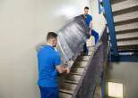 movers and packers dubai - Dubai-General Services