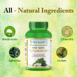 Vitamin D3 Plant Based Natural D3 Supplement