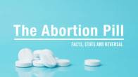 +27833173182 ABORTION  S in JANE FURSE, DUBAI , ABU DHABI