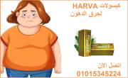 الاسكندرية-أخرى