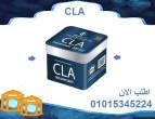 الاسكندرية-أخرى