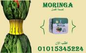 المنيا-أخرى