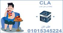 المنيا-أخرى