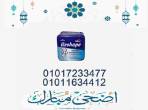 الاسكندرية-أخرى