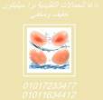 إطلالة خفية ودعم كامل مع برا السيليكون اللاصق01017233477 - القاهرة-أخرى
