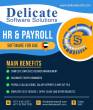 The Best HR and Payroll System in Sharjah