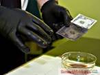SSD CHEMICAL SOLUTION FOR CLEANING BLACK MONEY +27608448062