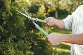 Buy Gardening Power Tools & Hand Tools in Dubai