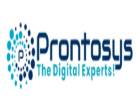 Prontosys IT Services - Dubai-Other