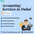 Accounting Services in Dubai - Dubai-Other