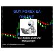 Buy Forex Expert Advisors and Dominate the Financial Markets - Dubai-Other