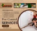 Expert Rodent & Pack Rat Control in Tucson - AZPest Control - Fujairah-Other