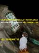 Love Breakup solve specialist astrologer baba In Calicut 756