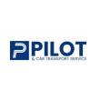 Pilot & Car Chauffeur Service Dubai - Dubai-Other