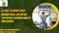 Ac duct cleaning dubai - Dubai-Other