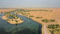 Discover Tranquility at Al Qudra Lake: Nature\'s Oasis in Dub