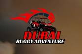 Dubai-Domestic tourism