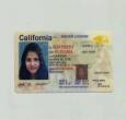 Buy Real drivers license Online Supportdocuments24hs - Dubai-Foreign tourism