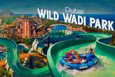 Dubai-Foreign tourism